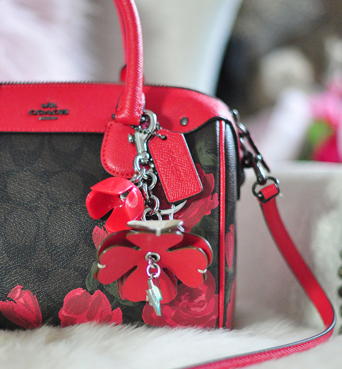 Valentines' Day Giveaway! Coach Logo+Roses Bag + More! |love Maegan