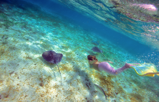 Real Life Mermaids Swim In The Belize Barrier Reef Love Maegan