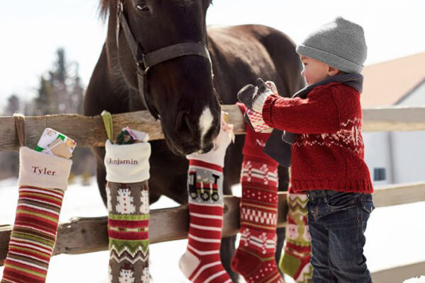 christmas stockings hanging on a fence with a little boy and a horse, winter scene, chrismtas time