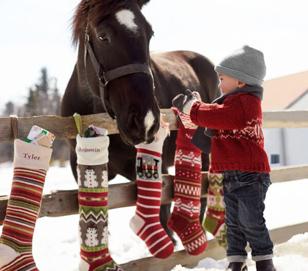 christmas stockings hanging on a fence with a little boy and a horse, winter scene, chrismtas time