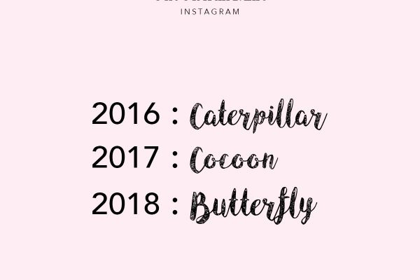 caterpillar, cocoon, butterfly