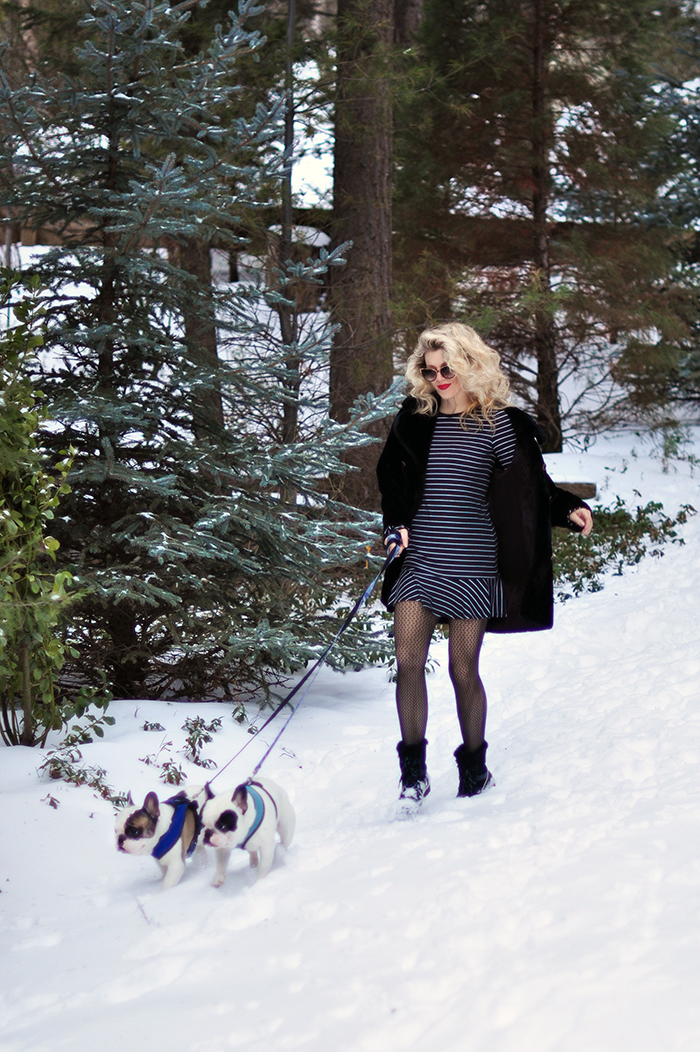 walking the dogs in the snow-french bulldogs-dresses in the snow-sorel snow boots