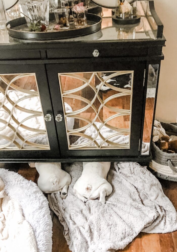 french bulldog butts under the cabinet