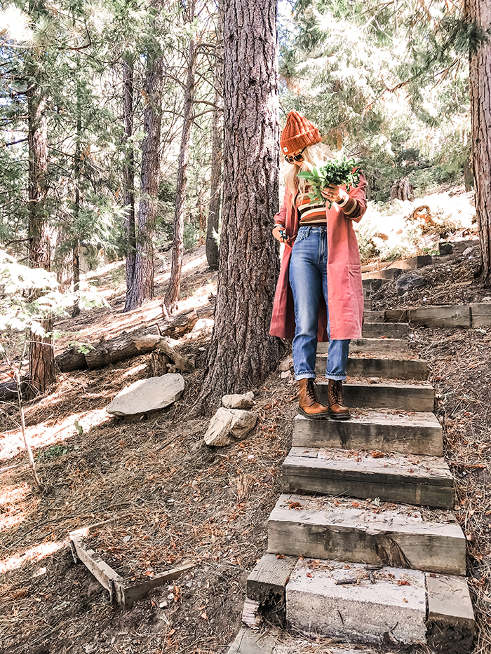 fall winter style, lee vintage modern jeans, lake arrowhead foraging in the woods