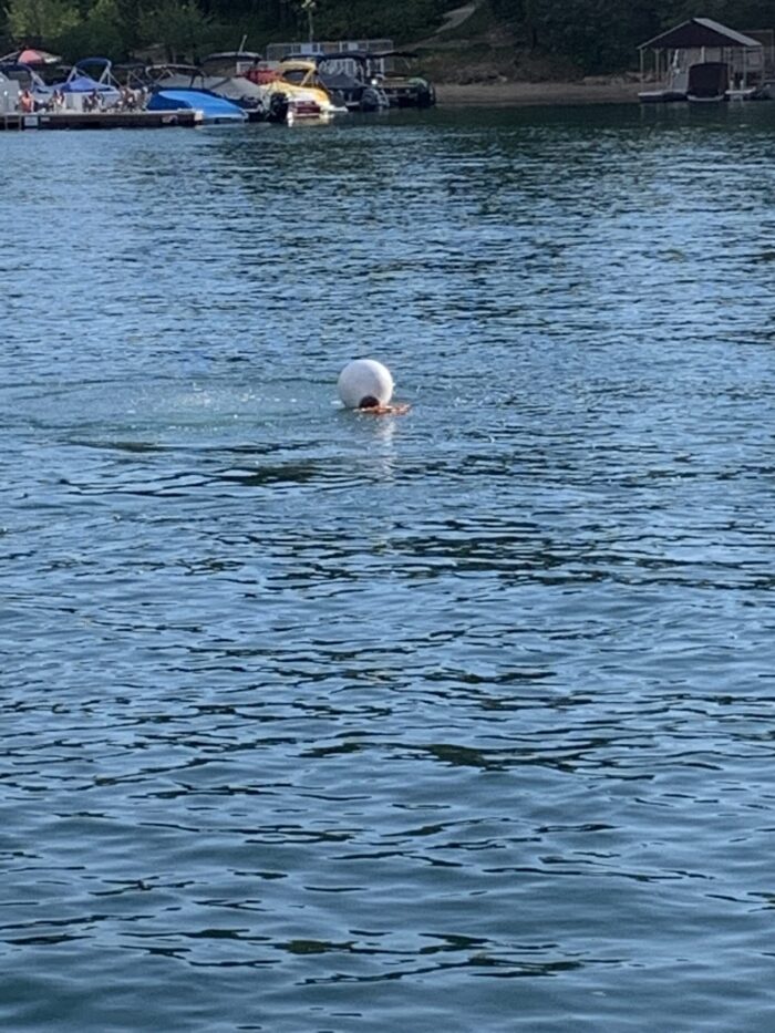 Lake Arrowhead Diver, dropped or lost something in the lake, diver to recover lost items in lake arrowhead