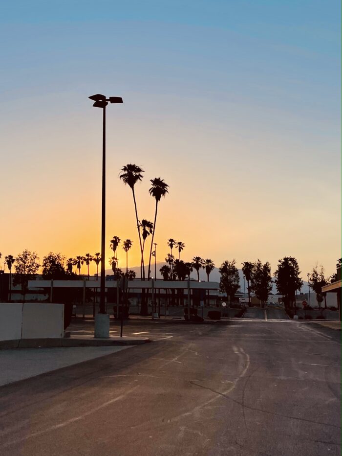 palm trees, sunset, city sunset, california sunset, palms and parking lots, parking lot sunset, san bernardino