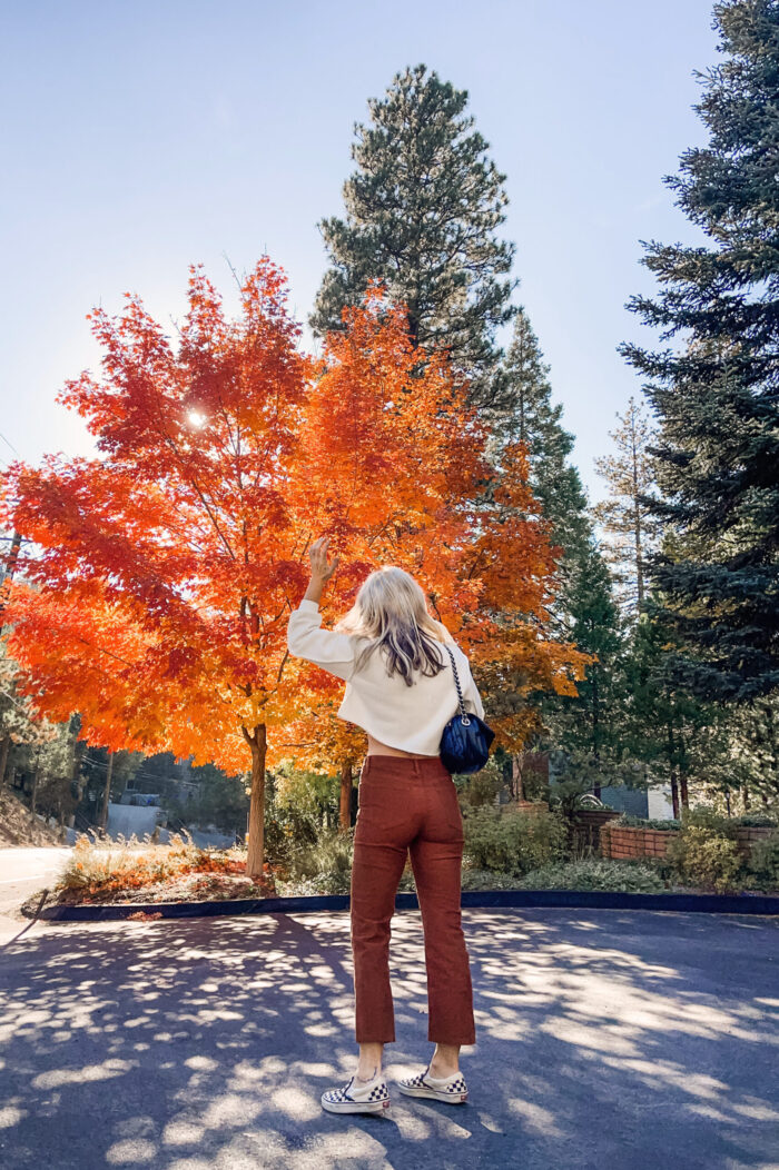 rust corduroy pants, fall style, fall outfits, fall trees, orange leaves, lake arrowhead, cropped sweatshirt, crop top
