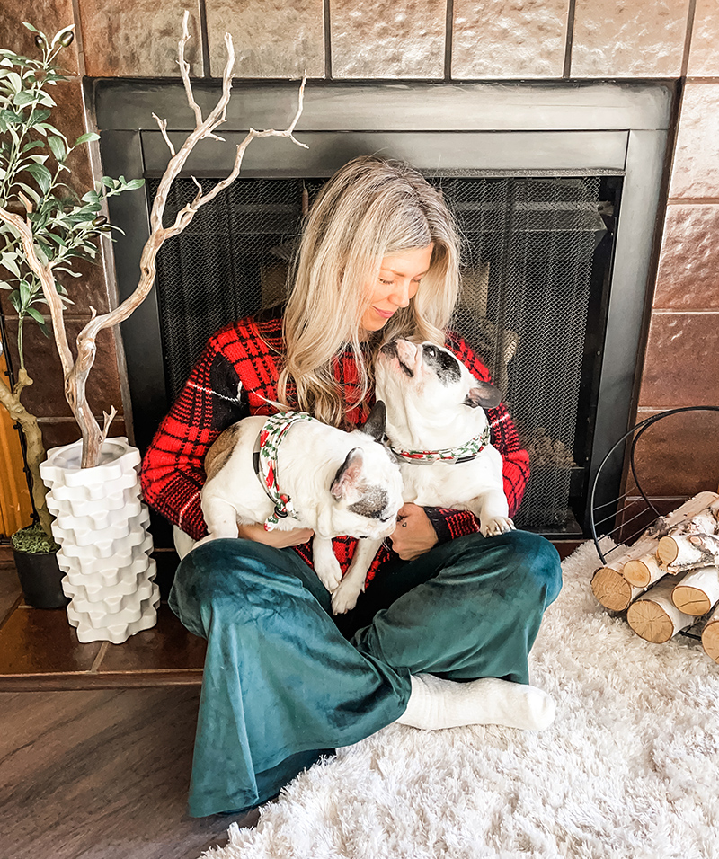 Merry Christmas family photos with pets, dogs, french bulldogs