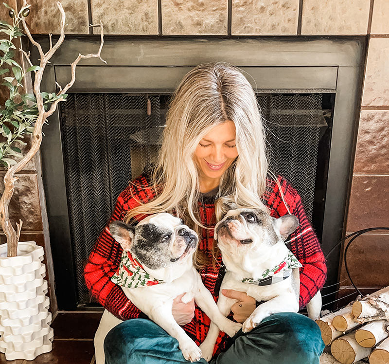 Merry Christmas family photos with pets, dogs, french bulldogs