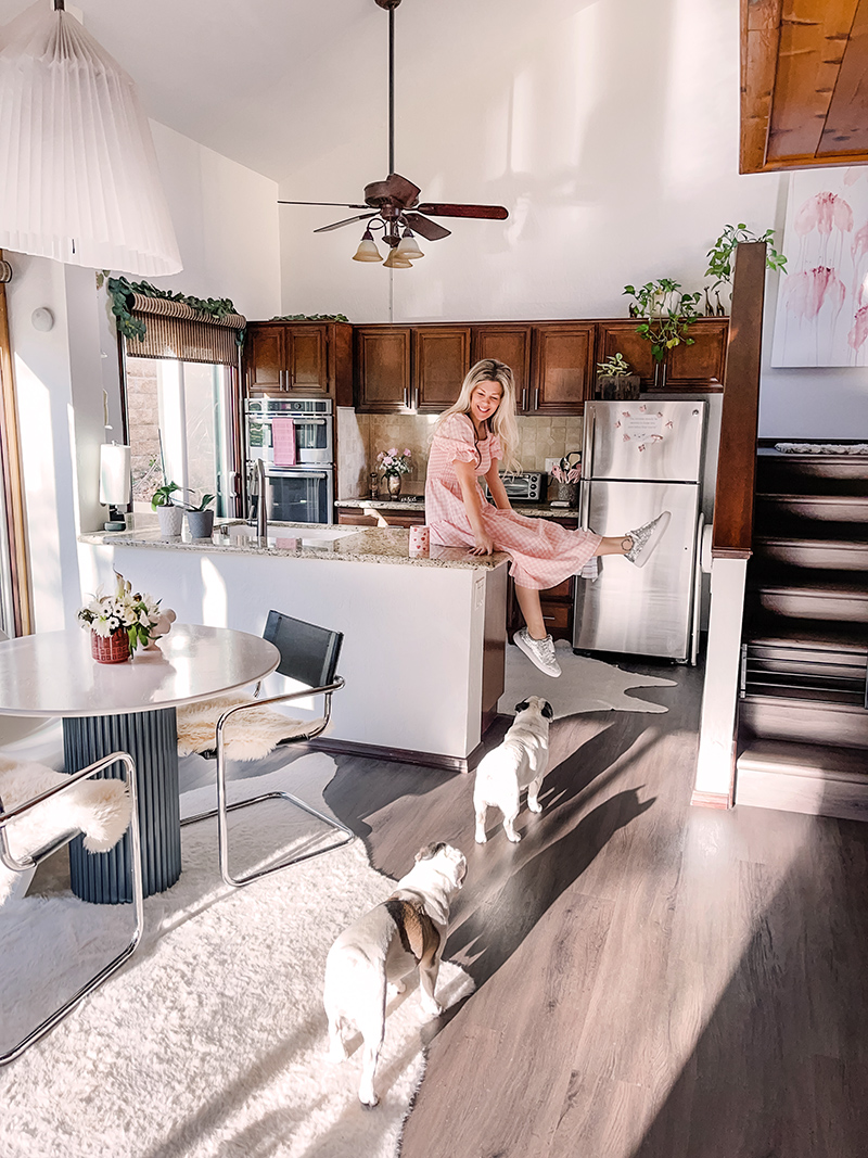 sitting on the counter of my little townhouse kitchen in a pink and white gingham dress looking at my french bulldogs