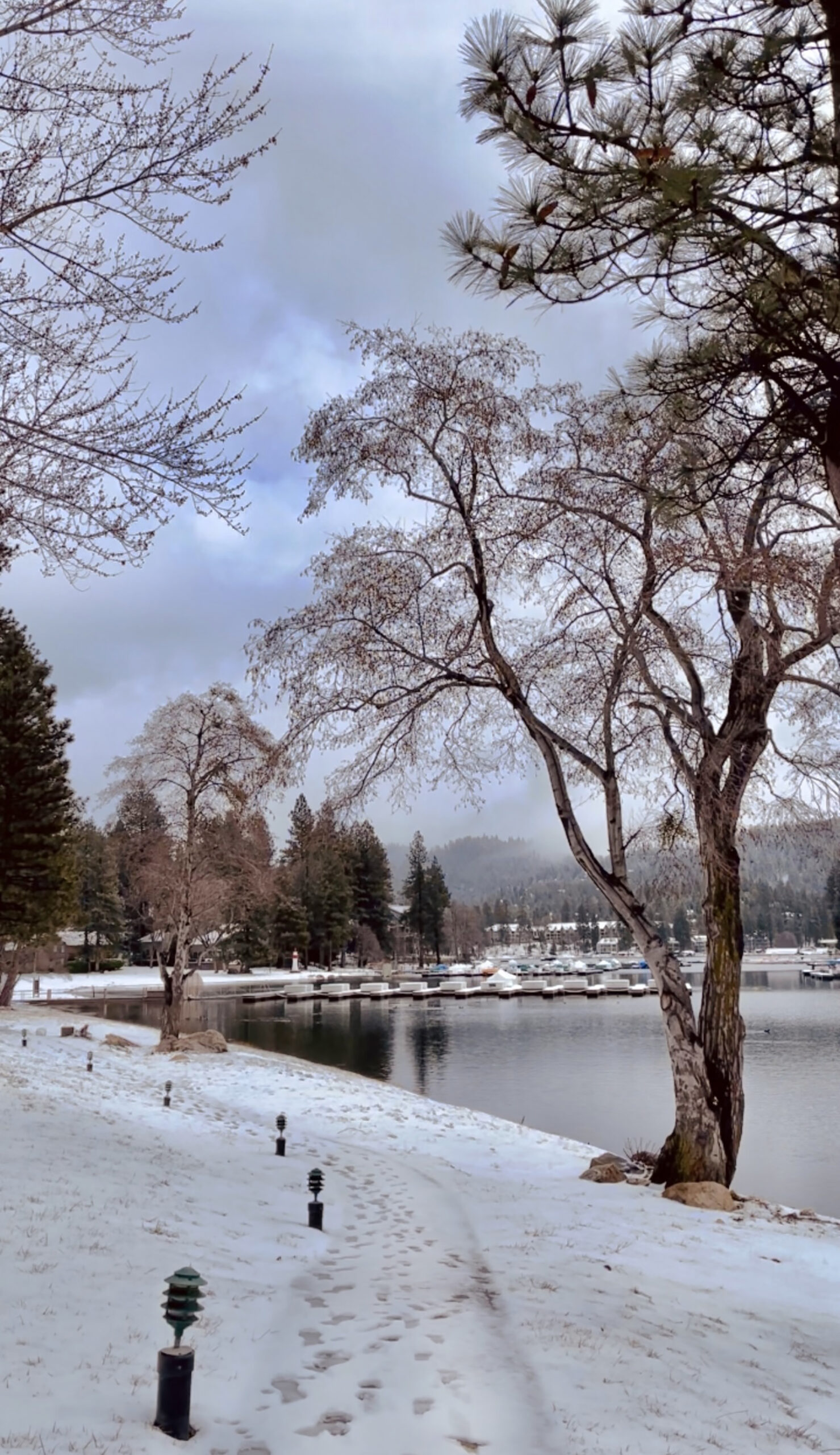 outfits in the snow, light hued monochromatic brown and tan look, style, winter style, snow day, lake arrowhead, on the lake, lake life, california mountains