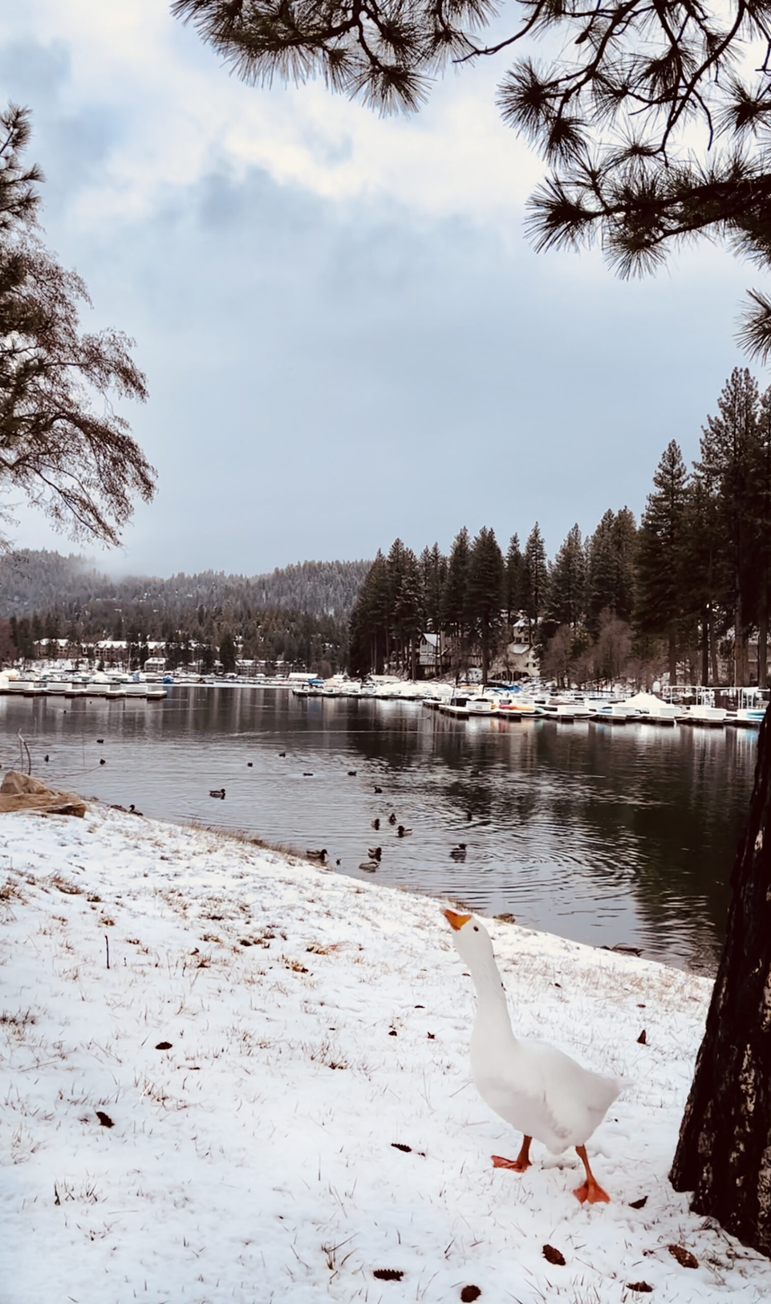 outfits in the snow, light hued monochromatic brown and tan look, style, winter style, snow day, lake arrowhead, on the lake, lake life, california mountains