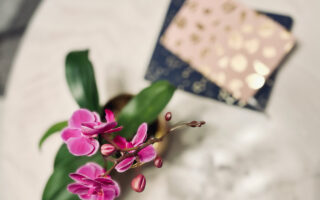 may flowers-purple orchids and journals-life-mental health and wellness, perspective, thoughts, spring