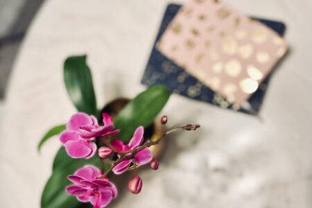 may flowers-purple orchids and journals-life-mental health and wellness, perspective, thoughts, spring