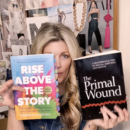 love maegan book review rise above the story healing journey and primal wound