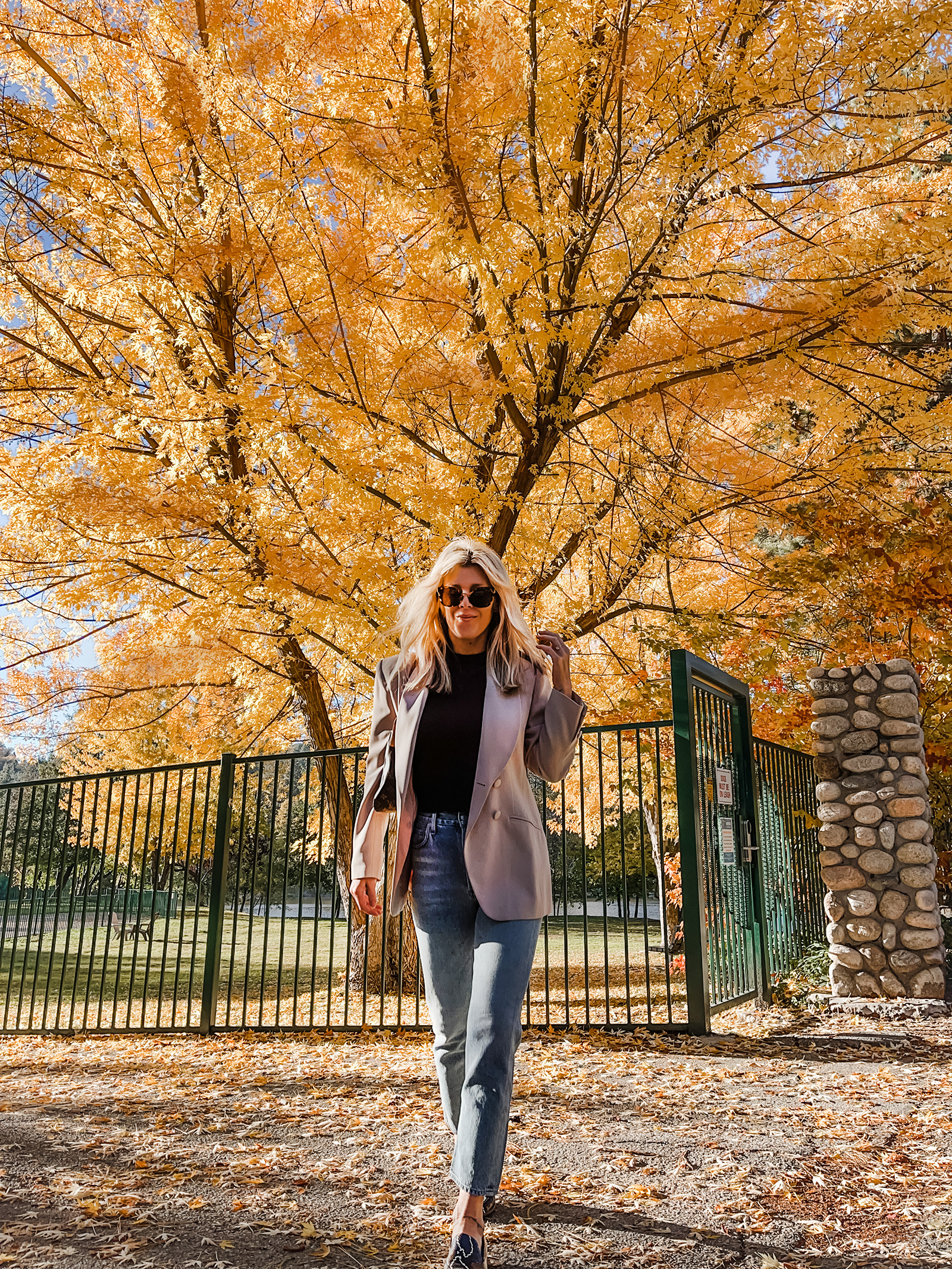 casual chic fall style jeans and a blazer in front of a massive tree with yellow and orange leaves, fall fits, fall style, fall fashion, old money, new trends, old trends, jeans