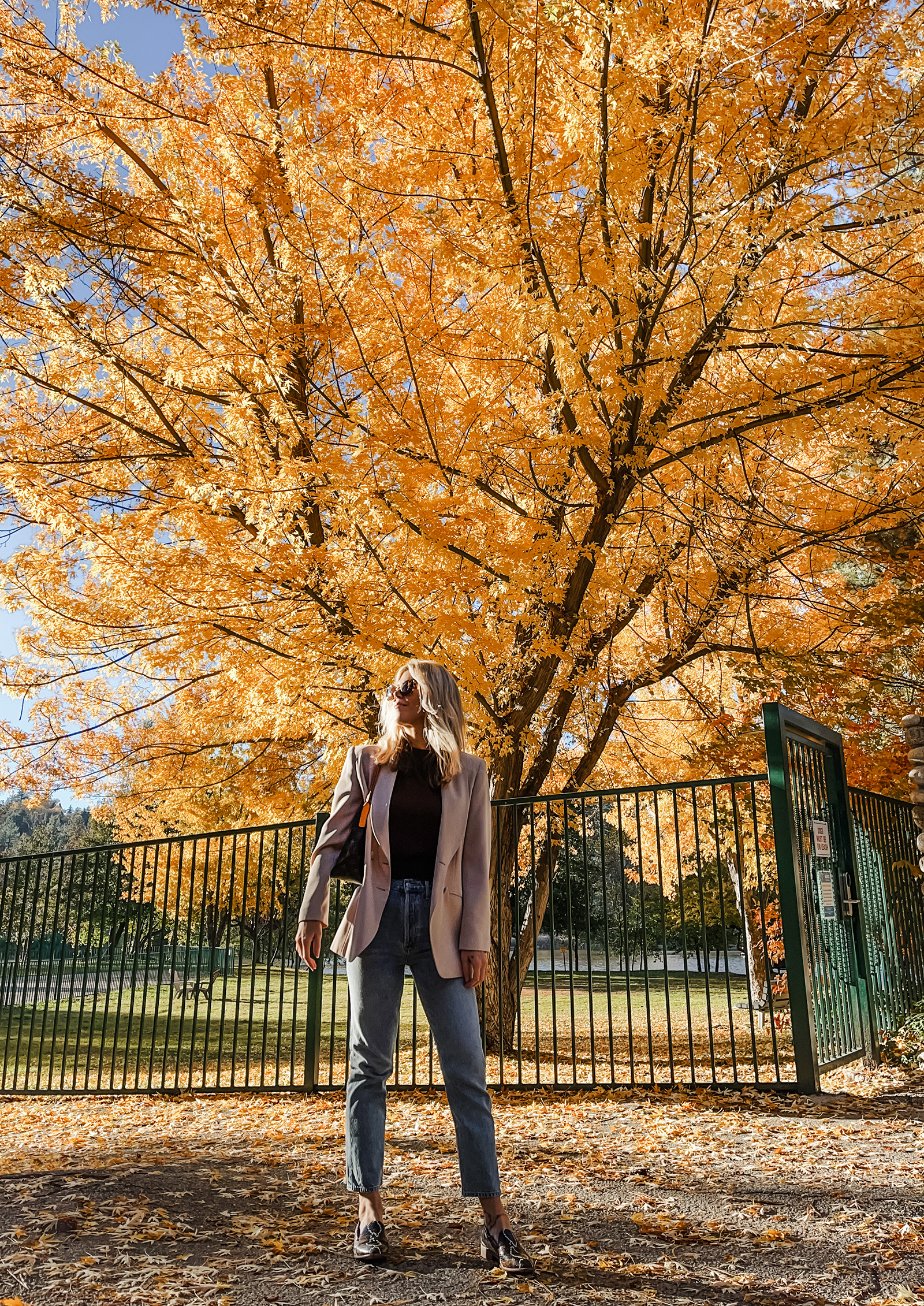 casual chic fall style jeans and a blazer in front of a massive tree with yellow and orange leaves, fall fits, fall style, fall fashion, old money, new trends, old trends, jeans