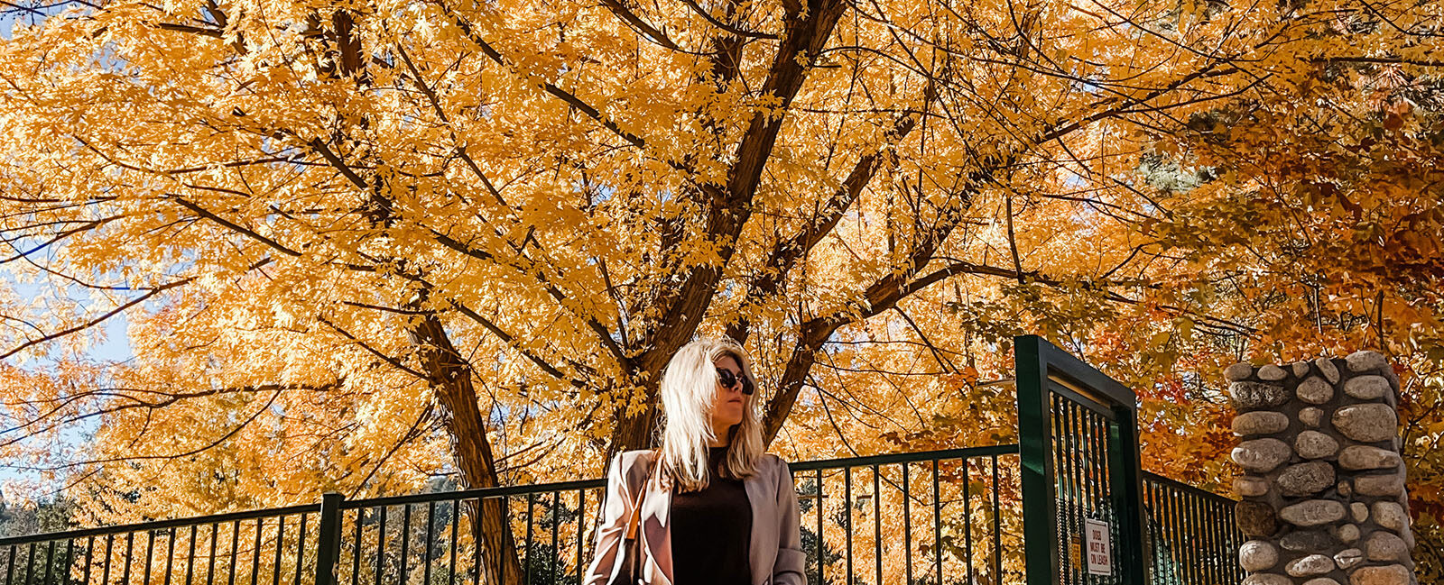 easy casual fall style jeans and a blazer