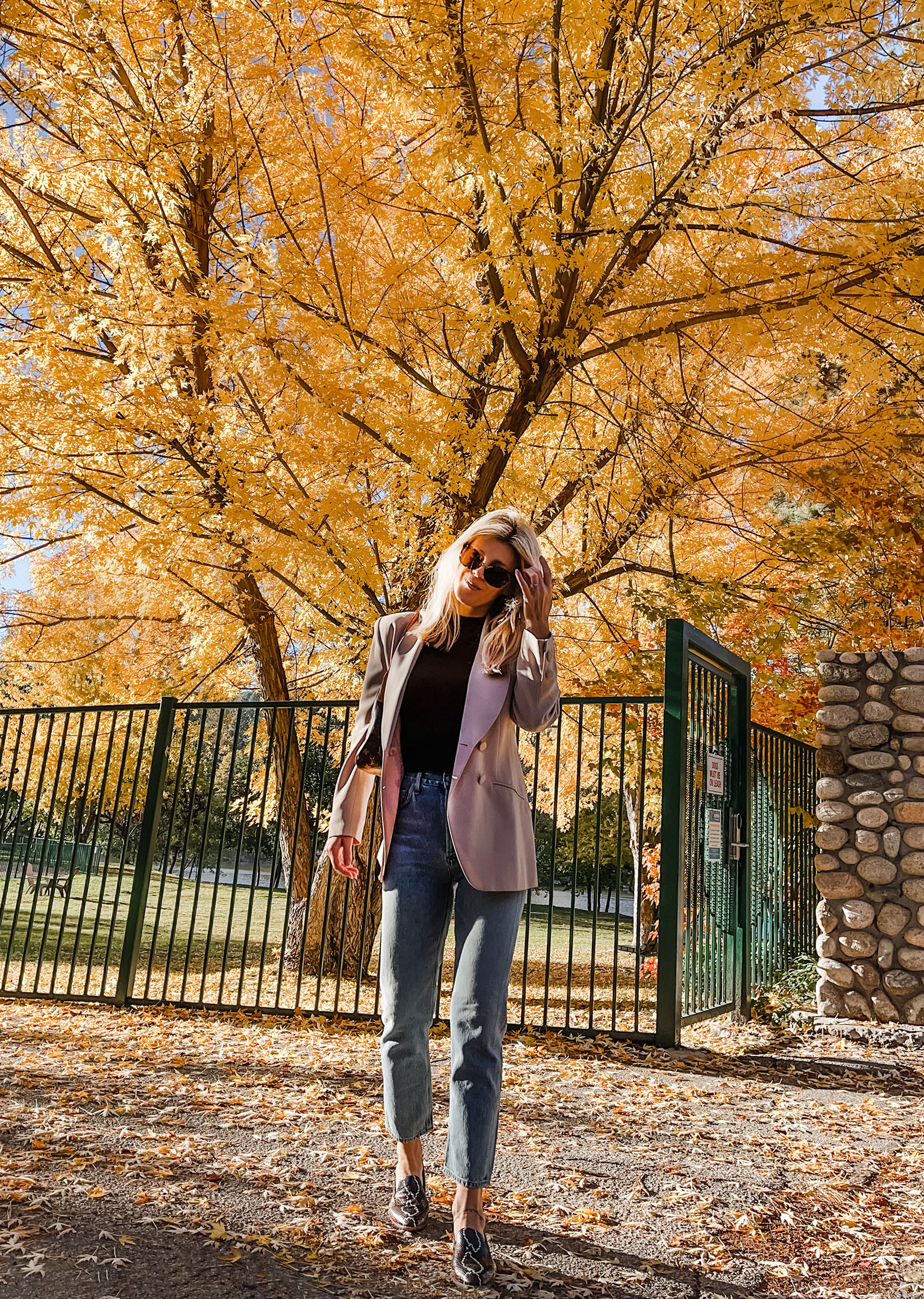 casual chic fall style jeans and a blazer in front of a massive tree with yellow and orange leaves, fall fits, fall style, fall fashion, old money, new trends, old trends, jeans