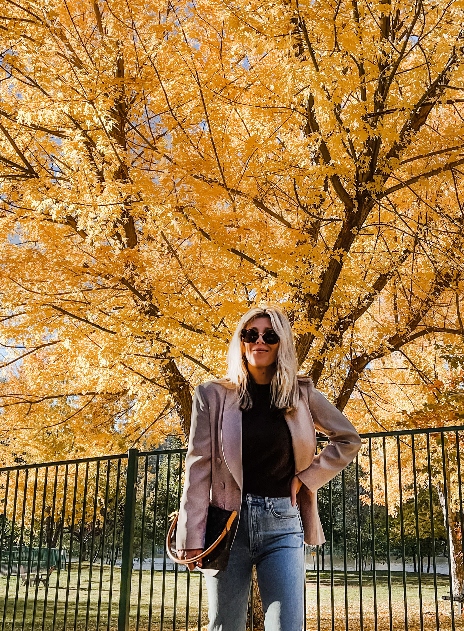 casual chic fall style jeans and a blazer in front of a massive tree with yellow and orange leaves, fall fits, fall style, fall fashion, old money, new trends, old trends, jeans