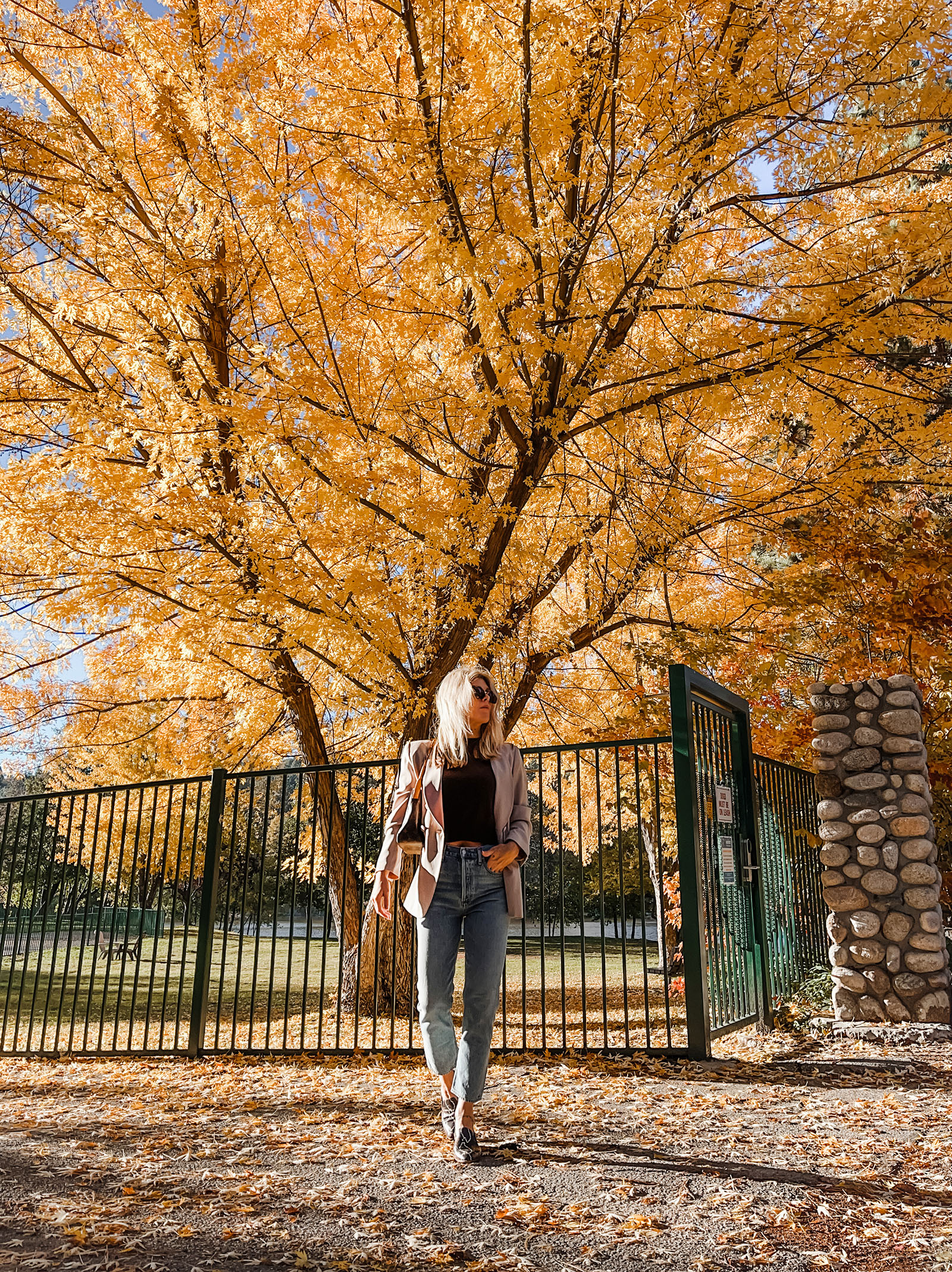 casual chic fall style jeans and a blazer in front of a massive tree with yellow and orange leaves, fall fits, fall style, fall fashion, old money, new trends, old trends, jeans