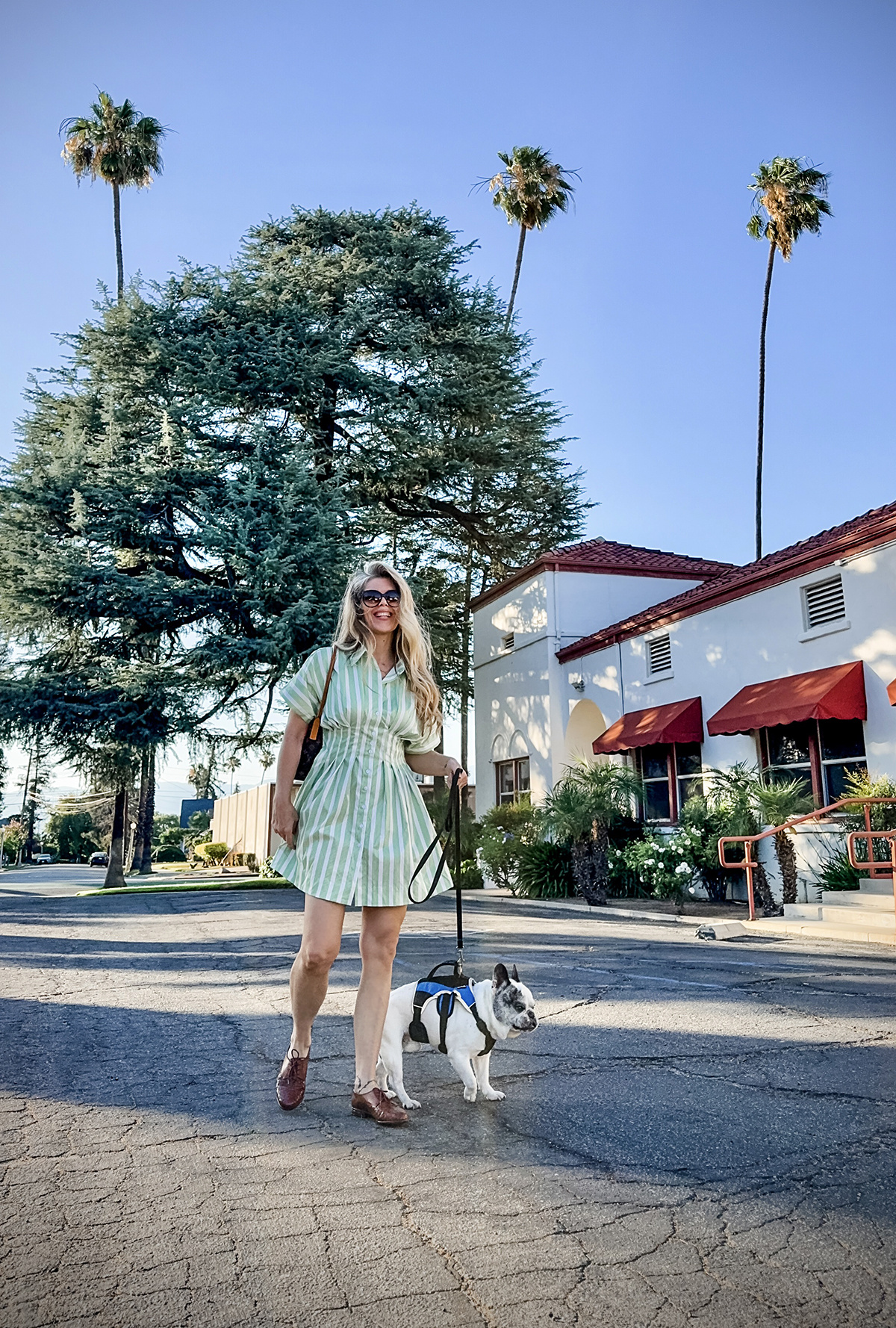 feminine style fashion blogger Maegan Amore walks her french bulldog, Trevor, in front of a Spanish style building blue sky and palm trees in the background wearing a cute green and white striped mini shirt dress with lace up oxfords and a louis vuitton purse