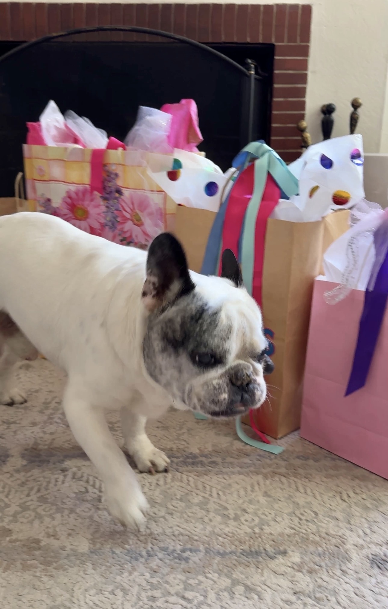birthday presents