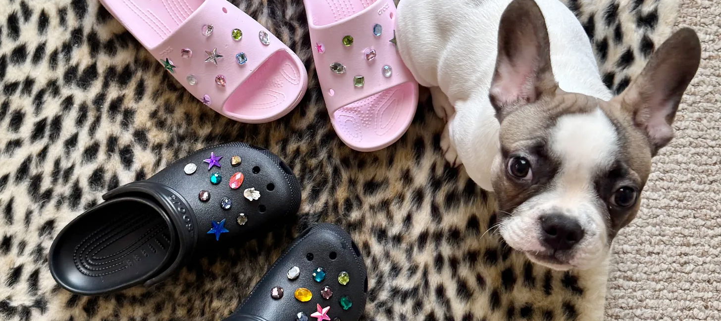 Bedazzled Crocs- DIY Gemstone Jibbitz Crystal Shoe Charms Tutorial with baby Churchill frenchie puppy on leopard print rug