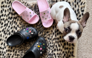 Bedazzled Crocs- DIY Gemstone Jibbitz Crystal Shoe Charms Tutorial with baby Churchill frenchie puppy on leopard print rug