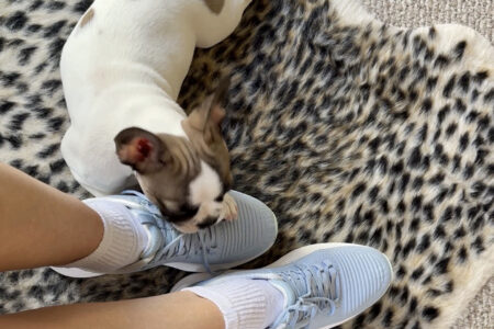 Kuru Atom 2 Shoes with Frenchie Puppy on leopard print rug