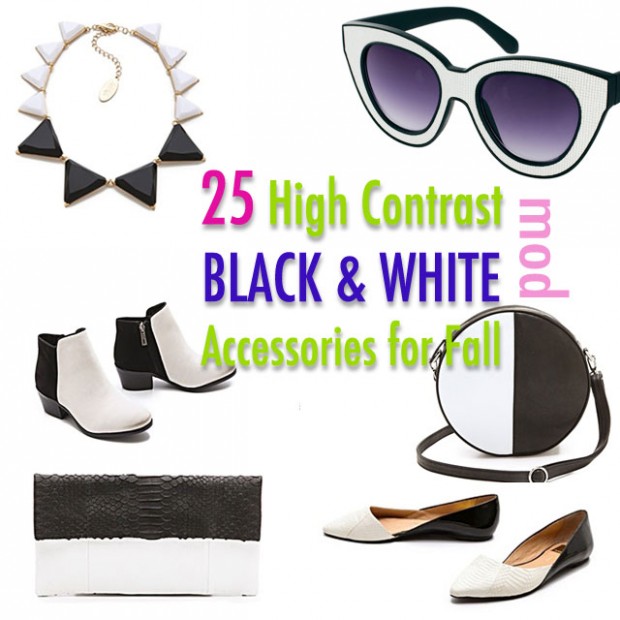 25- high contrast black and white accessories