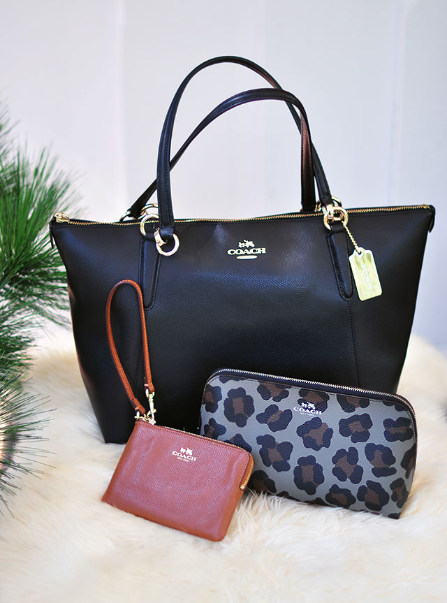 Coach bag giveaway_loveMaegan