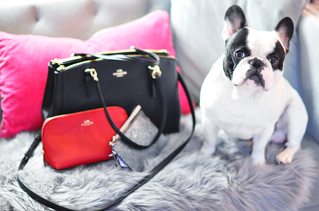 Coach bags with French Bulldog