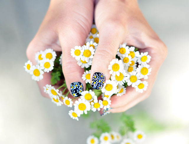 Cute Daisy Nails on Black background