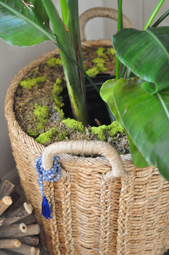 diy faux moss planter cover indoor tropical plant