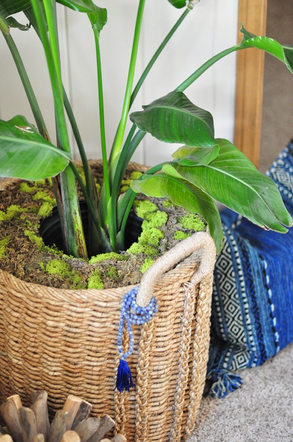 diy faux moss planter cover indoor tropical plant