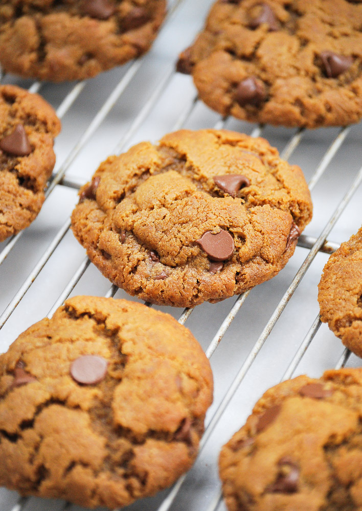 Gluten-Free-Peanut-Butter-Chocolate-Chip-Cookie-3