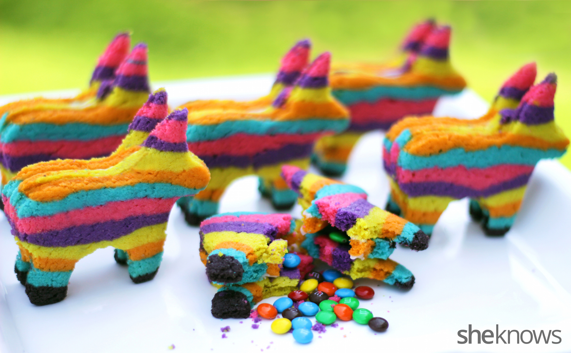 Pinata_Cookies_12-wm