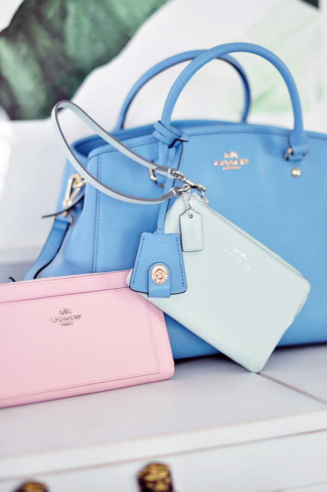 Pink wallet_blue bag_pantone 2016 colors_Coach bags