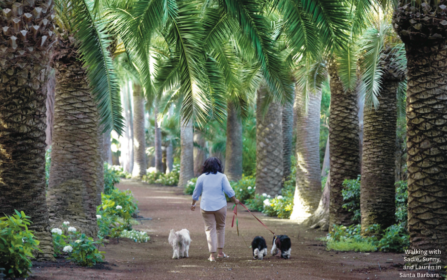 Oprah walking with her dogs