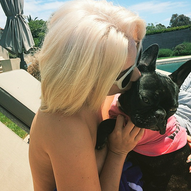 Lady Gaga's Frenchie Miss Asia Kinney