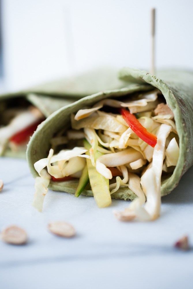 Soy-Ginger-Chicken-Wraps-2