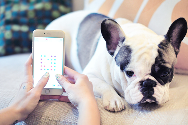 Two Dots + Frenchie