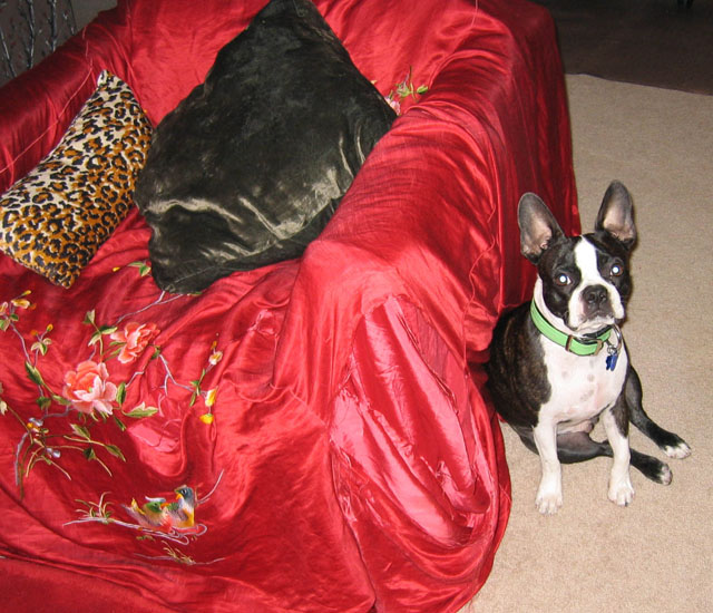 billy next to red silk throw