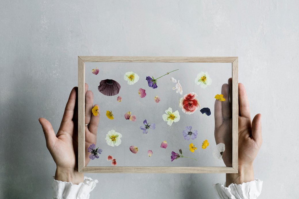 how to make minimalist framed floating leaves and flowers diy