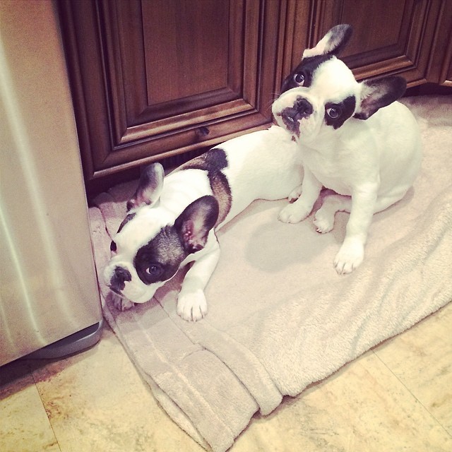 boys by the heater