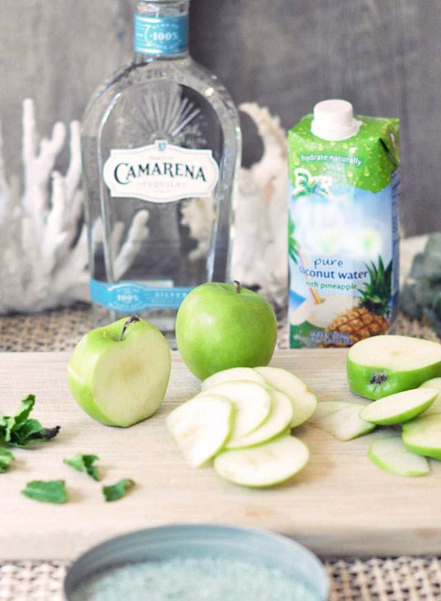 camarena silver tequila fresh drink recipe ''