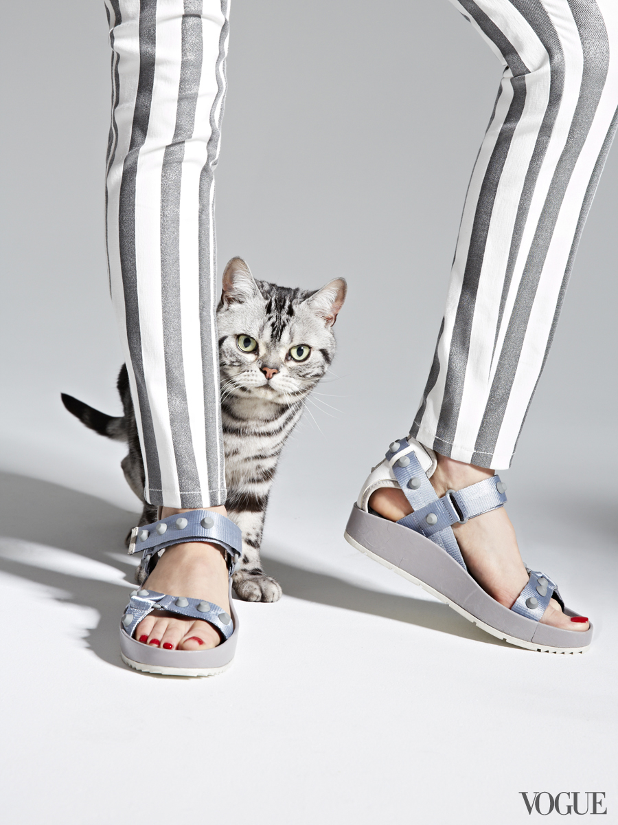 cats-kittens-flats-shoes-01_204106762856