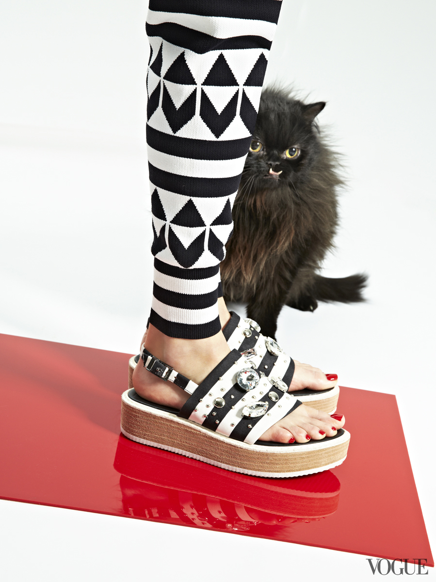 cats-kittens-flats-shoes-06_17272970411