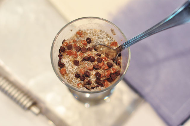 chia seed pudding with chocolate  chips